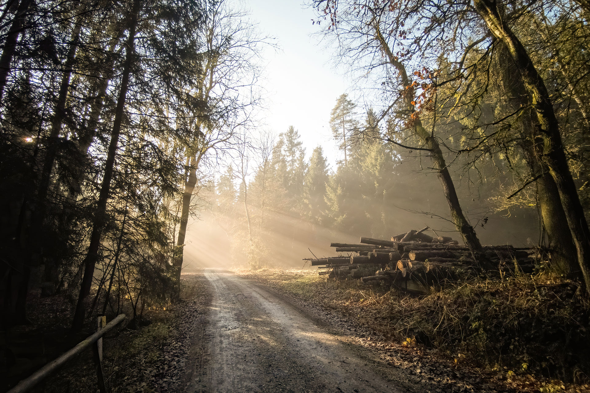 Holler Dogs Land Management mission 2