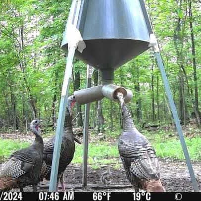 services-galler-image-1