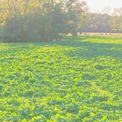 services-galler-image-10