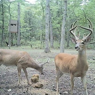 services-galler-image-13