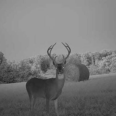 services-galler-image-14