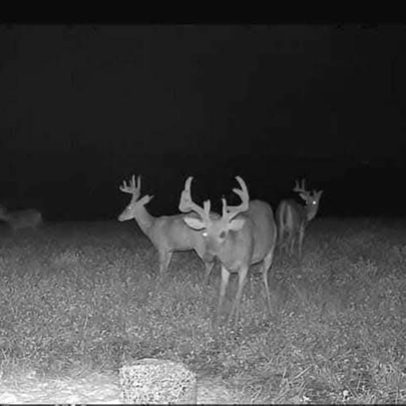 services-galler-image-15