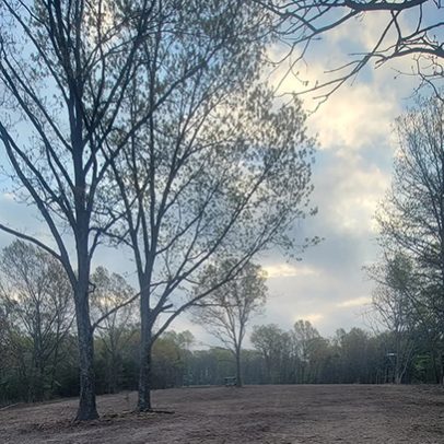 services-galler-image-18