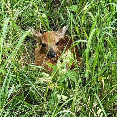 services-galler-image-19