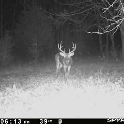 services-galler-image-2