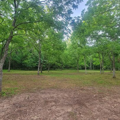 services-galler-image-20