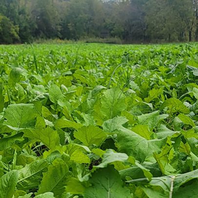 services-galler-image-21