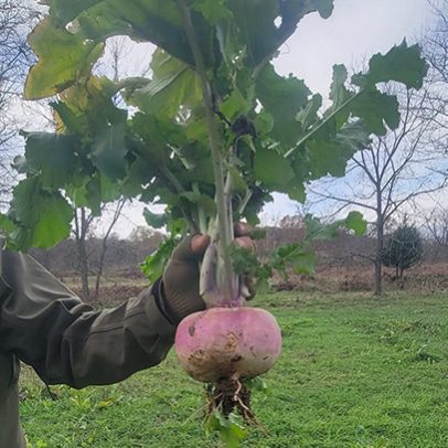 services-galler-image-25