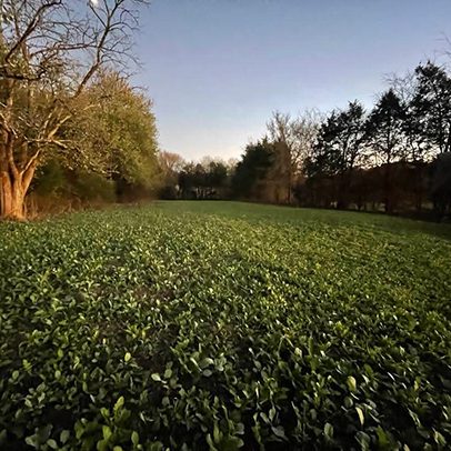 services-galler-image-26