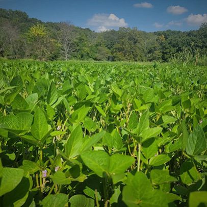 services-galler-image-27