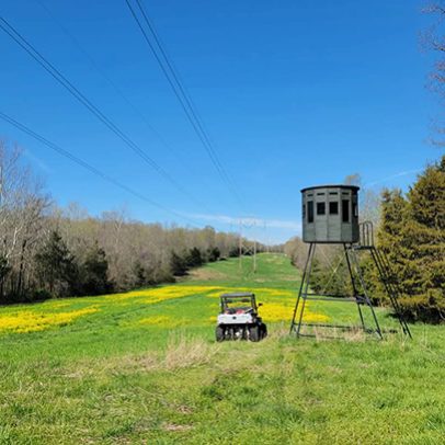 services-galler-image-3