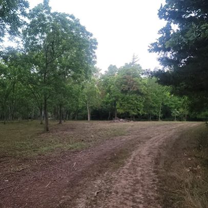 services-galler-image-5