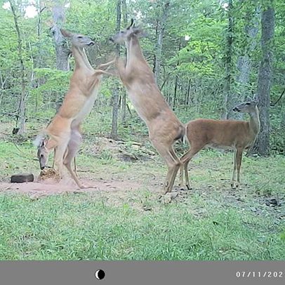 services-galler-image-6