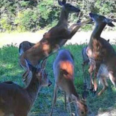 services-galler-image-7