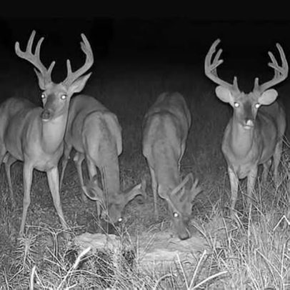 services-galler-image-8