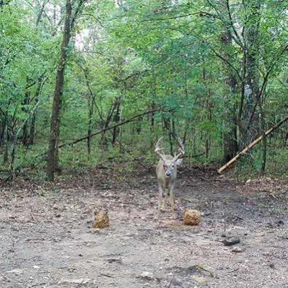 services-galler-image-9